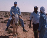 Dr Sharrow riding a donkey in Egpyt